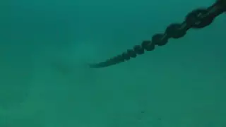 Дайверы сняли видео опасного погружения на 40-метровую глубину в Каспийском море