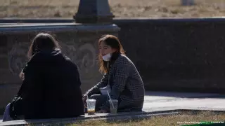 Число заражений COVID-19 за сутки увеличилось