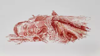 Археологи нашли древнейшее захоронение человека в Африке