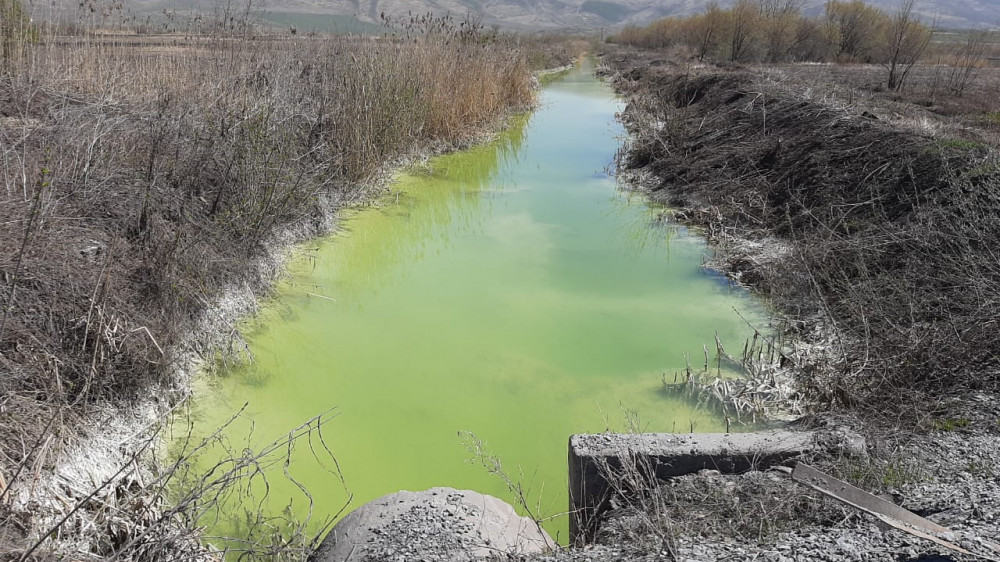 Ярко-зеленый цвет воды в реке напугал жителей ВКО