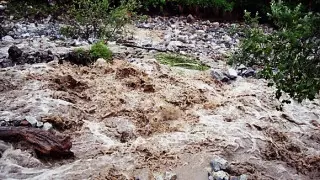 Двое детей погибли из-за схода селя  в Узбекистане