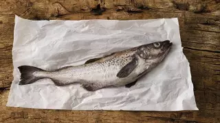 Диетолог назвала самую полезную для здоровья рыбу