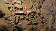Археологи нашли останки девяти неандертальцев вблизи Рима
