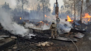 Огонь лесного пожара перекинулся на 14 домов в Риддере