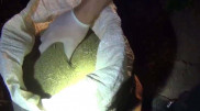 Сельчанин снабжал наркотиками заключенных в Павлодарской области