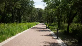 Грабители напали на подростков в роще Баума в Алматы