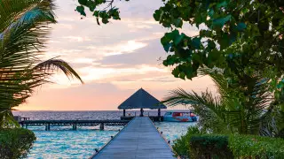 Казахстан прекращает авиасообщение с Мальдивами