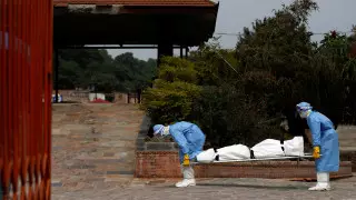 ВОЗ озвучила мрачный прогноз по COVID-19