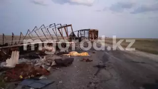 Большегрузы столкнулись в ЗКО: погибли два человека и 39 лошадей 