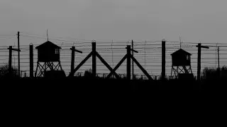 Германия признает вину в геноциде двух народов в Африке - СМИ