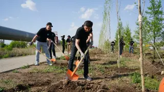 Аллея Телерадиокомплекса Президента появилась в столице