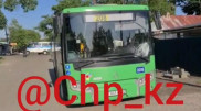 Автобус насмерть сбил женщину в Алматы