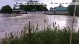 Несколько сел затопило в Жамбылской области