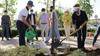 500 дубов и 1000 кустов сирени посадили у "Астана Опера"