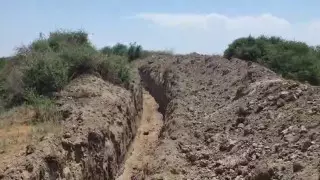 Траншея с животными: в Минэкологии отреагировали на ситуацию