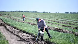 В ЗКО 11 тысяч рабочих заключили договоры с крестьянскими хозяйствами