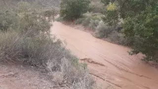 Пропавшую 11-летнюю девочку спасли в Чарынском каньоне