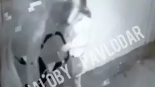 Избиение младенца матерью попало на видео в Павлодаре