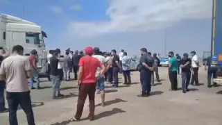 Протесты дальнобойщиков: решение пообещали принять за 2 недели