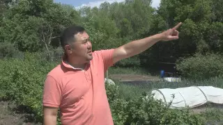 Карагандинские дачники боятся, что их участки уйдут под землю