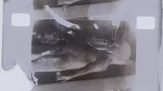 Кадр "вскрытия инопланетянина" выставили на аукцион