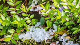 О погоде в Казахстане на июнь рассказали синоптики