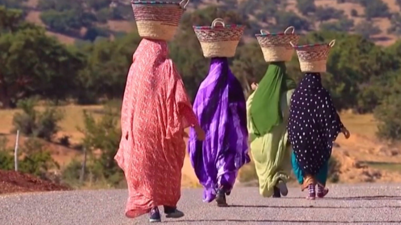 Марокканские женщины. Фото:elements.envato.com