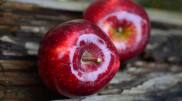 Названы продукты, снижающие риск развития диабета