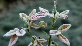 Заморозки и град. Штормовое предупреждение объявлено в 11 регионах