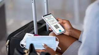 Что известно о приложении для поездок по ЕАЭС "Путешествую без COVID-19"