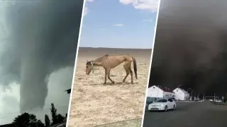 Торнадо, пыльная буря, засуха. Названа причина изменения климата в Казахстане
