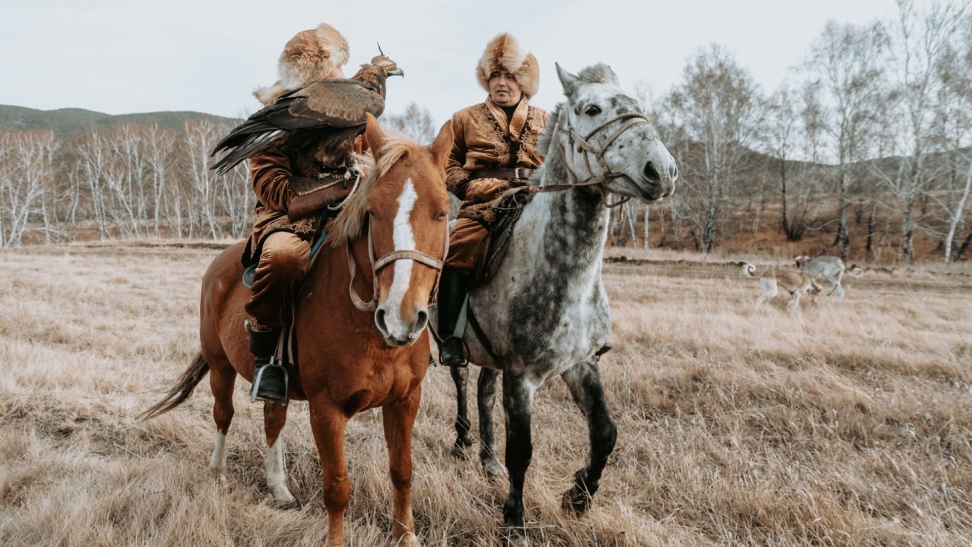 Казахское историческое. Назарбаев и Чингисхан. Сейчас есть кочевники в Казахстане. Свадьба кочевников в Гиндукуше фото 1969. Jo`Jixon.