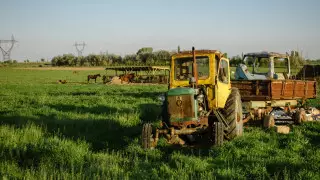 Новый глава Антикора заявил о хищениях субсидий на сельское хозяйство