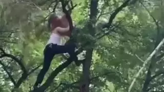 Видео с пьяным мужчиной на дереве рассмешило алматинцев