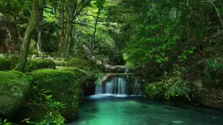 ООН призвала восстановить деградировавшие земли размером с Китай