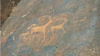 Камни с 3000-летними петроглифами пустили на щебень в Алматинской области