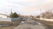 Волки напали на людей в Костанайской области