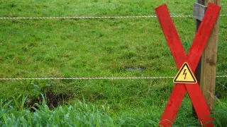 Открыт новый способ получения электроэнергии из окружающей среды