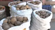 Виновных в дефиците картофеля назвал министр Султанов