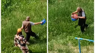 Разделка собаки во дворе многоэтажки шокировала жителей Петропавловска