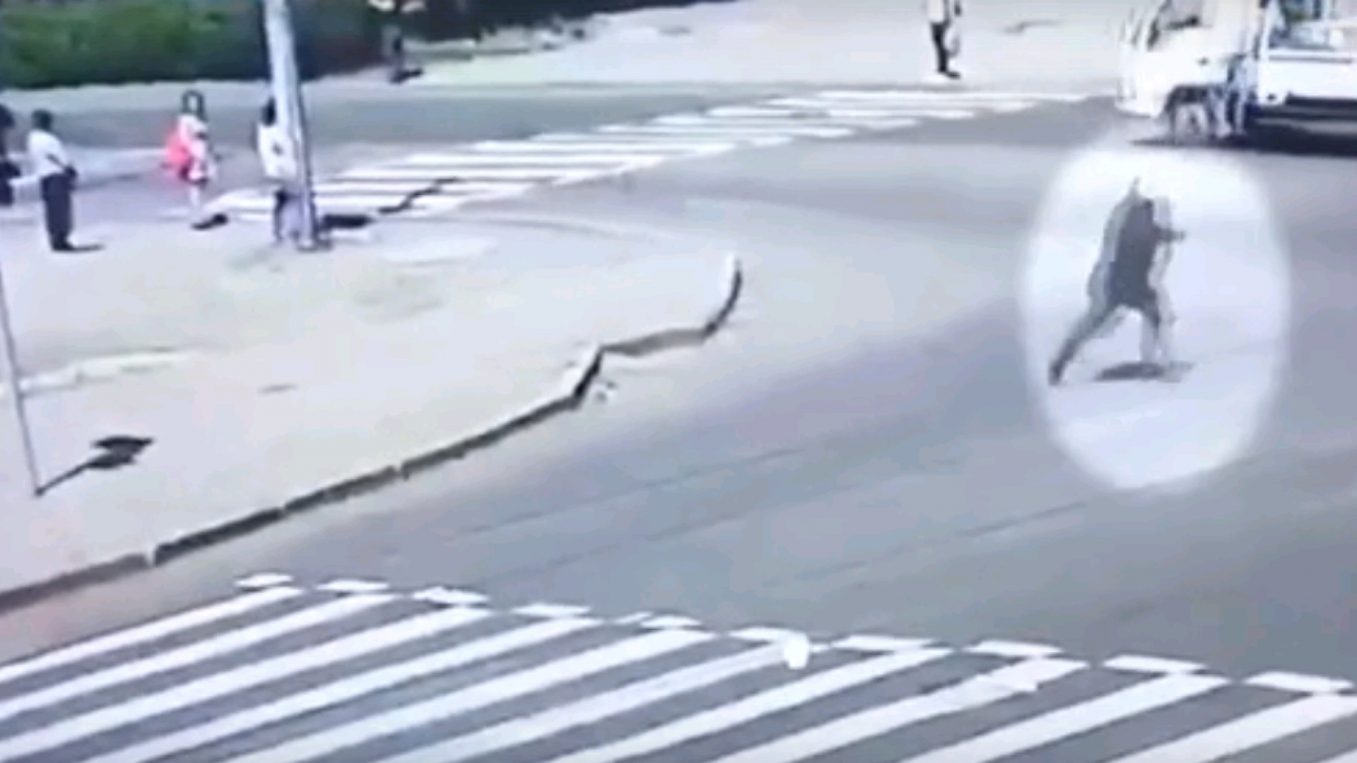 Дак Плей Новые Видео 2022 Года Дак Плей Новые Видео 2022 Года