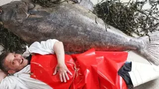 Рыбу-гиганта выловили в Шотландии