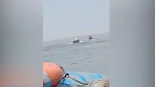 Браконьеры избили егерей на Шардаринском водохранилище - СМИ