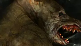 Казахстанцы обсуждают видео с "оборотнем в Жамбылской области"