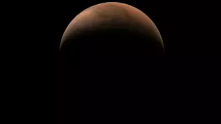 Полет на Марс: ученый из NASA поспорил с Илоном Маском