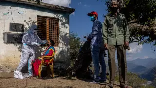 Первый случай "зеленой плесени" зафиксирован в Индии