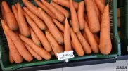 Цены на морковь взлетели до 850 тенге за килограмм в Актау
