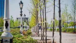 Комплекс мер по улучшению экологии принят в Нур-Султане