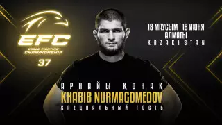 Хабиб Нурмагомедов на EFC 37: Прямая трансляция турнира в Алматы