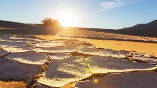 Засуха может превратиться в следующую пандемию - ООН